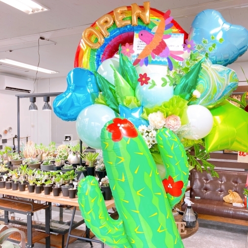 多肉植物のお店の開店祝いに🌵「バルーンスタンド🎈　【静岡市　バルーンギフト　風船】」