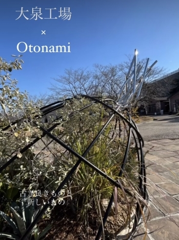 「Otonamiツアー開催✨」