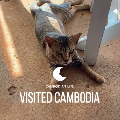 「【CAMBODIAN LIFE】カンボジアの街並みや風景」