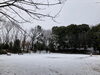 雪から一夜明けた日の大原みねみち公園「編集室日記:雪の日から明けて」