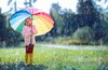 「天気雑学２　雨【神・子育て　天気　リスク管理・危機管理能力】」