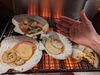 大きな帆立です。「一押し、野付半島の巨大な活帆立です。」
