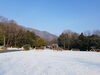 久しぶりの冬らしい景色「うっすら雪化粧」