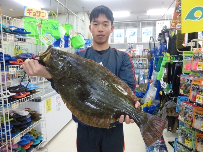 森本さん。野島漁港にてヒラメ６６センチ。「先週までの釣り情報です！【宮崎市】【日南市】【釣り】【釣り情報】」