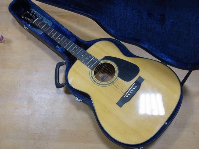 モーリス MF201N アコースティックギター - アコースティックギター