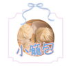 「本日通常営業🈺次の週末まで会えません😅出雲駅近・東横イン並び・センチュリオンホテル向い」