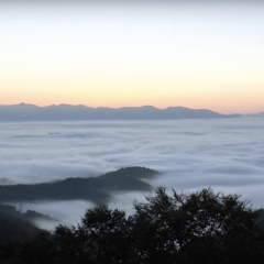 超感動✨山形県鮭川村の「雲海」動画✨
