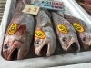 「魚魚市場鮮魚コーナーおすすめは「ヒゲダラ」です♪」