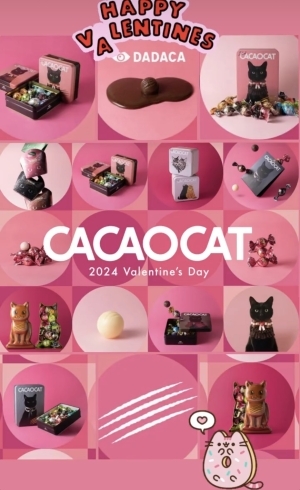 「バレンタインにオススメ！可愛い猫デザインのCACAOCAT-カカオキャット-🎵【24 スイーツショップ 越前武生店】」