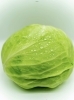 「野菜で体調を整える」
