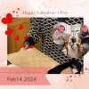 ハッピーバレンタイン♡「ハッピーバレンタインデー♡【ケアハウス恵庭】」