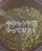「モリンガ蒸しが大好評❗️花粉症対策にも🌲🤧【宮崎市 脳洗浄 筋膜リリース モリンガ蒸し 肌育 LIHI】」