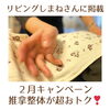 「２月は整体がかなりお得！体調を整えて元気に春を迎えましょう(=^ェ^=) 整体・リーディング・占い・ヒーリング・氣功」