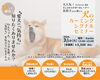 大人気セミナー開催いたします♪「愛犬の気持ちわかりますか？？〖犬のカーミングシグナルセミナー〗開催します🤓☝️」