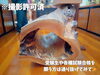 「受験生必見！合格祈願も受付中！魚沼市の永林寺へGO。」