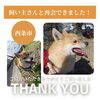 「【無事再会！】西条市石田で保護されていたワンちゃん。飼い主さんと再会できました！」