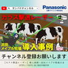 「問い合わせ殺到中！カラス撃退レーザー【導入事例】✨✨」