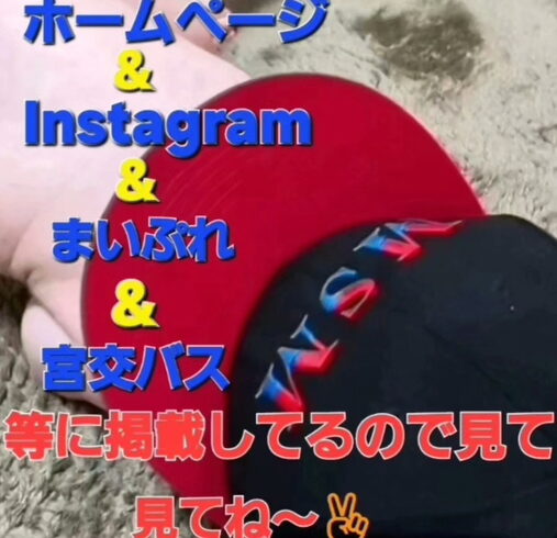随時掲載中~「本日の作業~太陽光発電&IHクッキングヒーター」