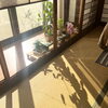 店内の雰囲気「二十四節気「雨水」【大分市/大在/水素ガス吸入＆天然石足湯/アクセスバーズ】」
