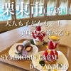 「一棟貸し切りいちご狩りからスイーツ作り体験も♪ 【栗東市　上砥山】」