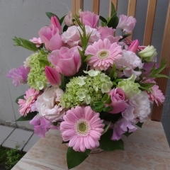 卒業・入学などのお祝いにお花をプレゼントしてね！