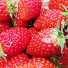 ２月１７日の朝食です🍓