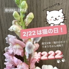 猫の日限定！10束限定！かわいいお花をてまりちゃん価格で！