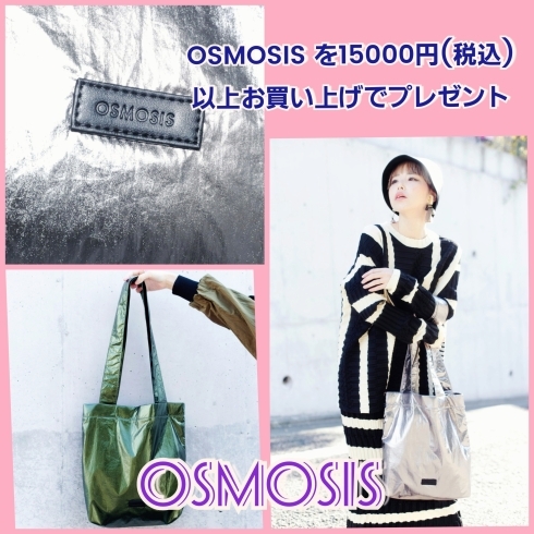 OSMOSIS ノベルティプレゼントフェア🎵 | TRAFFICのニュース