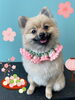 「Dog salon mofu mofu 余市町」