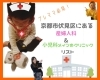 「《プチこぷれ通信》小児科を探した時の話①」
