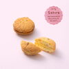 「期間限定　「桜ぷっちい」【伊那市のお土産、ケーキ、スイーツといえばちいずくっきい】」