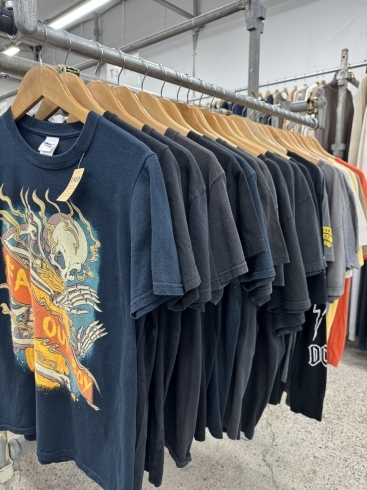 バンドTシャツコーナー「Tシャツ、ポロシャツなど夏物続々入荷しています！ 和歌山市古着屋Lucido Bell」