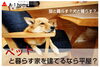 ペットも家族も喜ぶお家とは…？「家づくりコラム更新しました。「犬や猫が暮らしやすいお家とは？」」