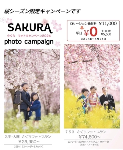「SAKURA photo campaign さくら　フォトキャンペーン2024【フォトキャンペーン】」