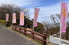 「梅まつり（西条市 市民の森 梅林園）に行ってきました！（2024年2月27日）」