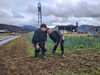 菜の花と玉ねぎと仲の良いふたり「仲の良いふたり - 一貫洞 障がい者就労継続支援B型事業所」