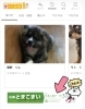 「まいぷれ苫小牧WEBサイトで「広報とまこまい」が閲覧できるようになりました！！」