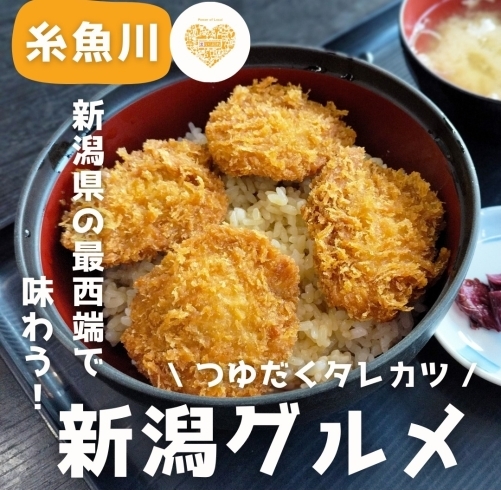 「新潟県最西端で食べる絶品タレカツ丼🐖」
