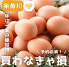 「年に一度の縁起物「大寒卵」🥚」