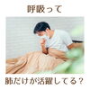 「呼吸は肺だけが働いているわけではない？(=^ェ^=) 整体・リーディング・占い・ヒーリング・氣功」