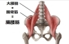 体幹部の中でも特に重要な「腸腰筋」別名ダイエット筋「ランニングやウォーキング時に脛（すね）が痛くなるのは、体幹が原因かも…。」