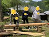 本格的林業体験「体験活動」