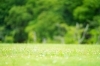 「初心者向けピラティス　【長野県下伊那郡下條村】」