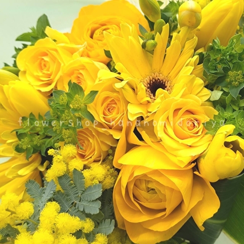 「「ミモザの日」に贈りたい黄色い花🧡」