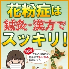 漢方薬で花粉症対策【行徳・妙典・浦安エリアの漢方相談薬局】