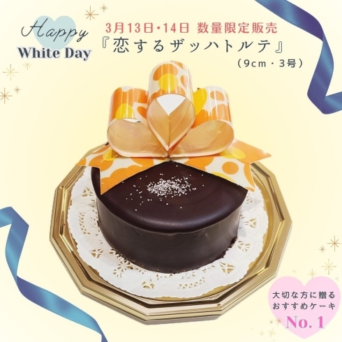 「🩵ホワイトデーギフト🩵3/13・3/14の２日間 大きなリボン形のホワイトチョコを飾った 『恋するザッハトルテ』（9㎝ ・3号サイズ）が 今年も登場します♡」