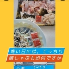 鍋用お魚ご用意してます✨寒い日は🐡「てっちり」🐟「鯛しゃぶ」「ブリしゃぶ」いかがですか！店内活魚販売中、その場で調理（ひらかたポイント使えます。）