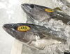 「魚魚市場鮮魚コーナーおすすめは「カツオ」です♪」