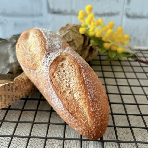 米粉フランスパン「米粉パン教室 那珂川市 習い事」