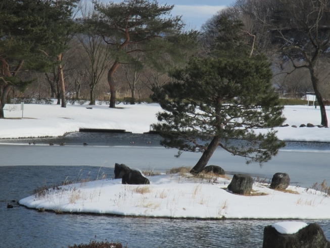 雪景色「春の雪」